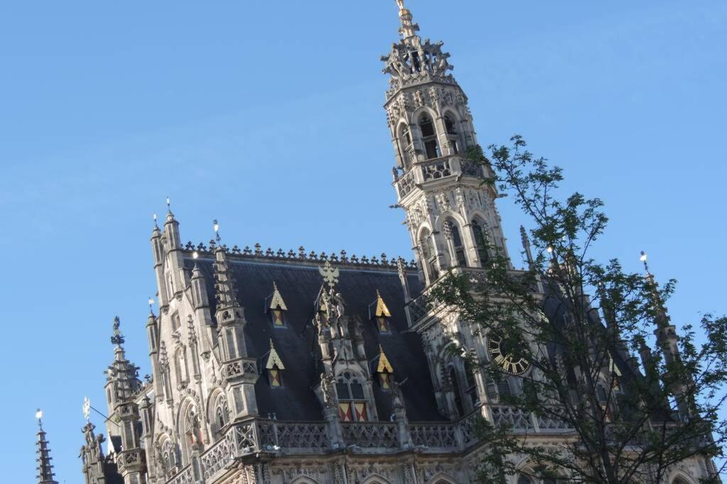 Vakantiewoning Zoetebeek 오우데나르데 외부 사진
